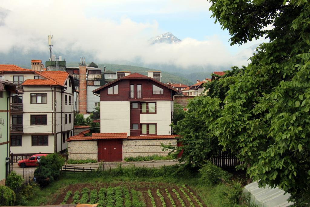 Guest House Sevda บันสโก ภายนอก รูปภาพ